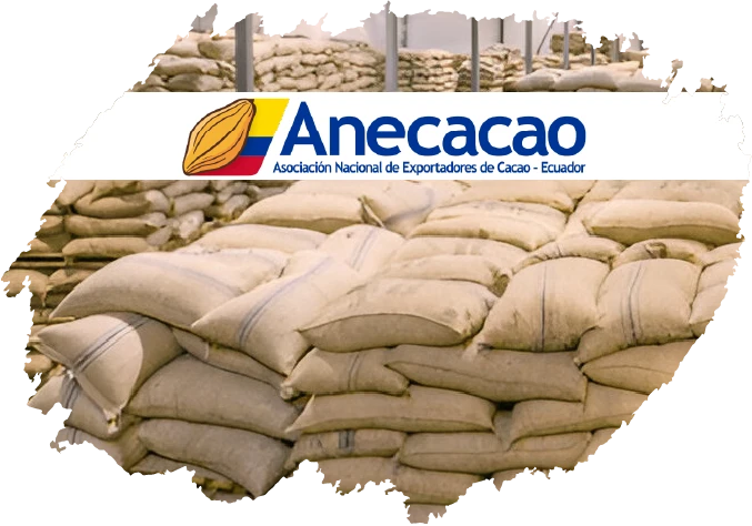 A sack of Ecuadorian cacao with a traceability tag, symbolizing Flor de Cacao's safe and transparent supply chain.